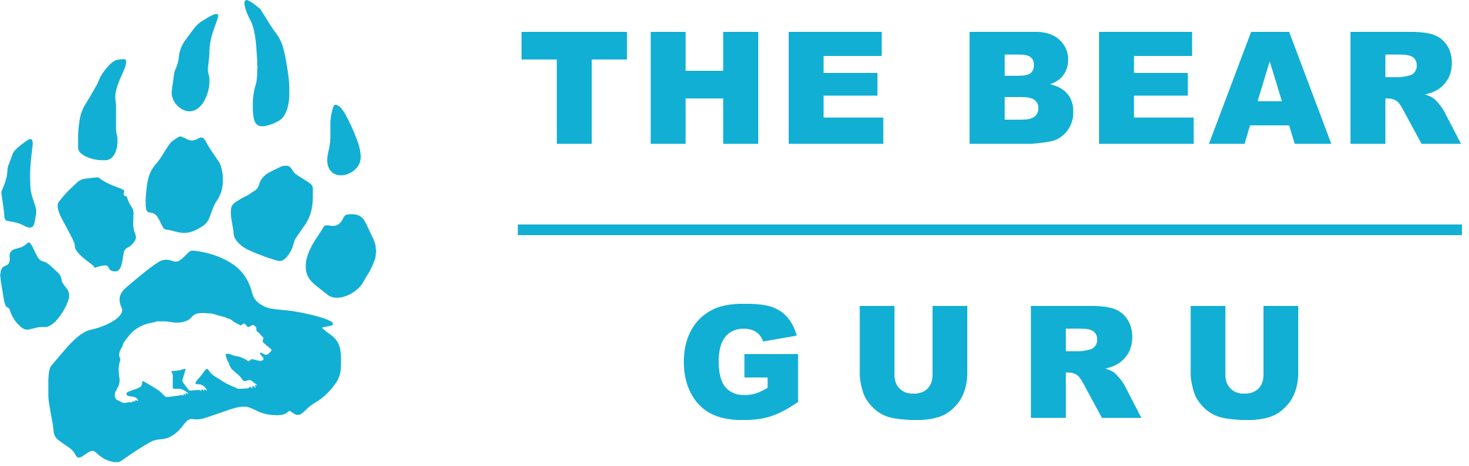 The Bear Guru Logo
